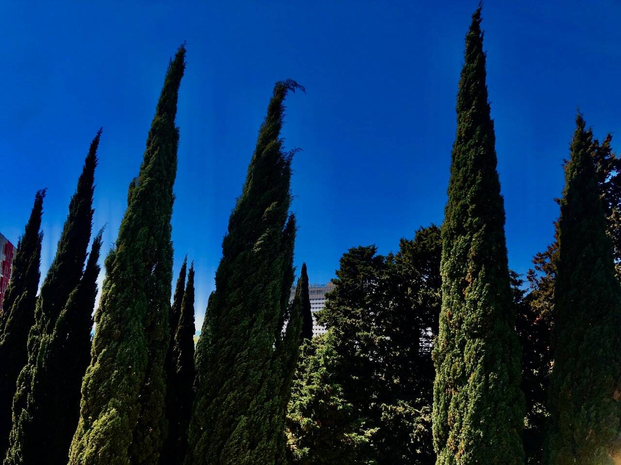 Фото Апартаментов Golden Holiday Сочи 15